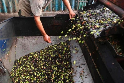 Cerró la empresa aceitunera Yovilar en La Rioja