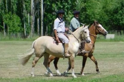 Trabajadores rurales lograron un ajuste salarial efectivo del 45 %