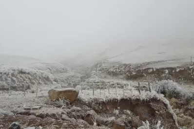 La nieve convirtió a Tafí del Valle en un paisaje blanco