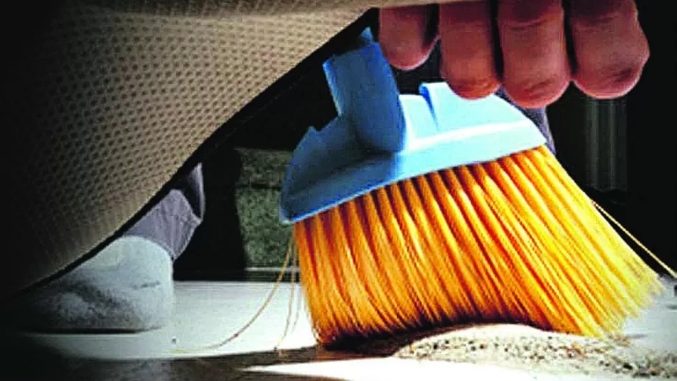 Abajo de la alfombra