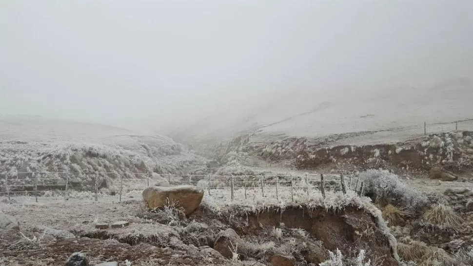 NIEVE EN EL MOLLAR