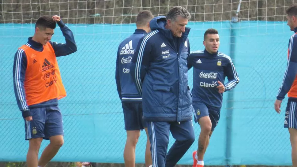 Bauza. DYN