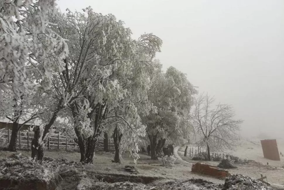 FRÍO. Nevada en Tafí. FOTO ENVIADA A LA GACETA WHATSAPP.