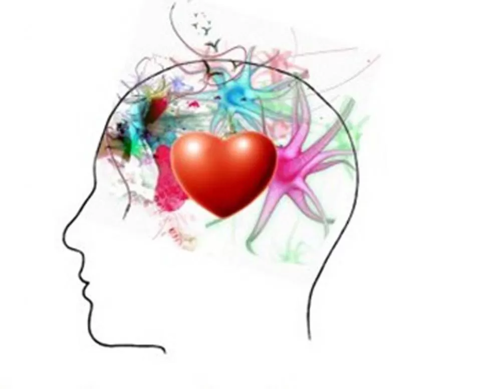 LA ESENCIA. Dado que somos seres predominantemente emocionales, es la emoción la que modula nuestras inteligencias, potenciándolas o anulándolas. 