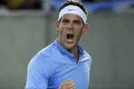 Del Potro encabezará el equipo argentino que jugará la semifinal de la Davis