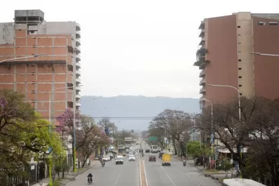 La avenida Mate de Luna decidió crecer para arriba