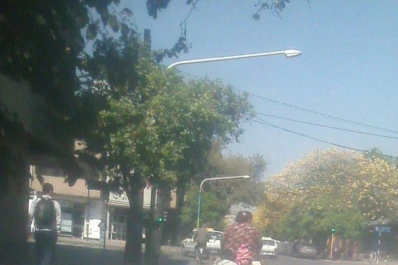 Un paseo en “carrito con ruedas” que podría terminar en un accidente