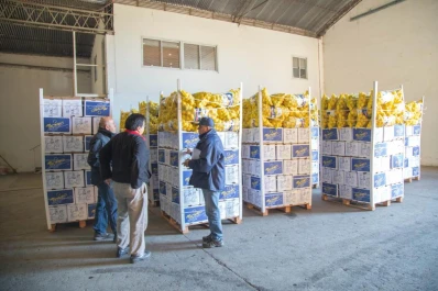 El SENASA decomisó fruta fresca sin documentación