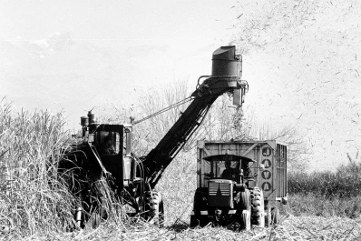 Se cosechó mas del 50% de la caña de Tucumán