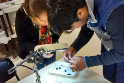 Capacitaron sobre ‘mosca de la fruta’ en arándano