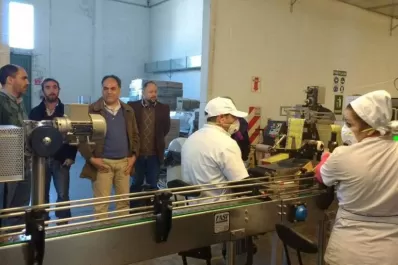 Lanzarán un clúster olivícola en La Rioja para mejorar las condiciones de acceso al mercado interno