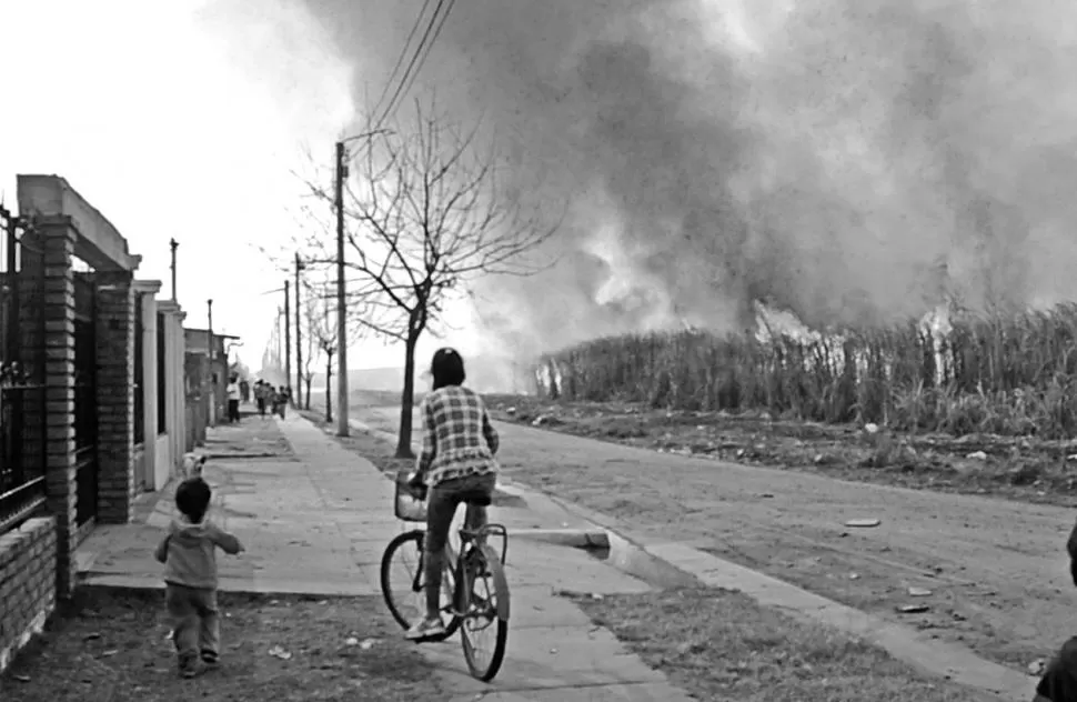 LOS DAÑOS. La población y el medio ambiente son los más afectados.  