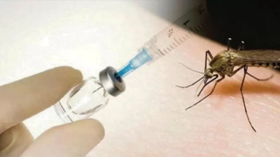 VACUNA. Por el momento se comercializará sólo en México. FOTO TOMADA DE DEBATE.COM.MX