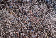 Confirmaron el día y el horario del próximo partido de Atlético en el Monumental