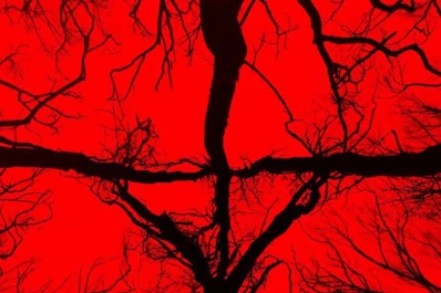 Blair Witch: la bruja de Blair