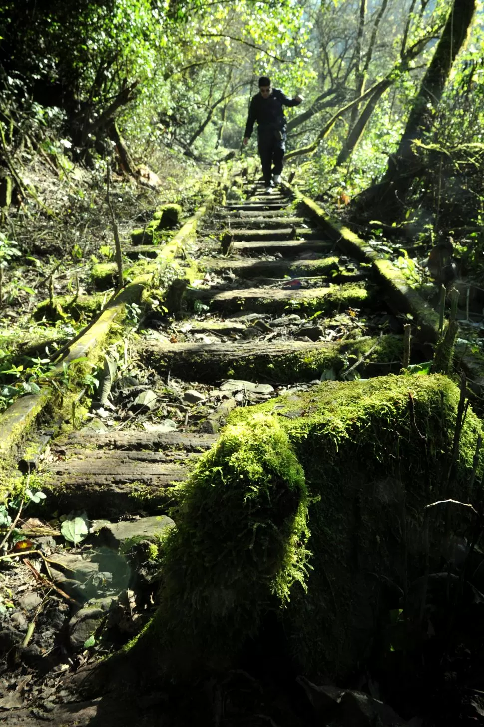  la gaceta / foto de franco vera 