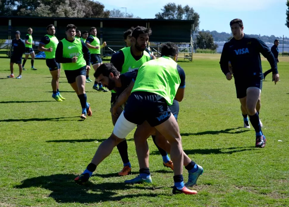 POSIBILIDAD. El tucumano Gabriel Ascárate estará en el banco y podría jugar su primer partido en un Rugby Championship. prensa uar