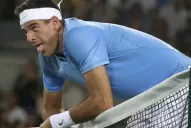 Del Potro: no estoy 10 puntos físicamente y el capitán decidirá si juego o no mañana