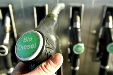 Biodiesel: un fallo con impacto favorable para la Argentina