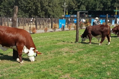 “Para invertir se necesita financiamiento y ventajas impositivas”
