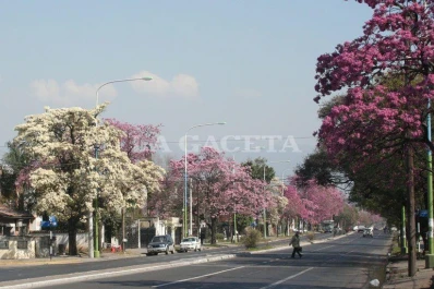 Preparate para un fin de semana a pleno sol