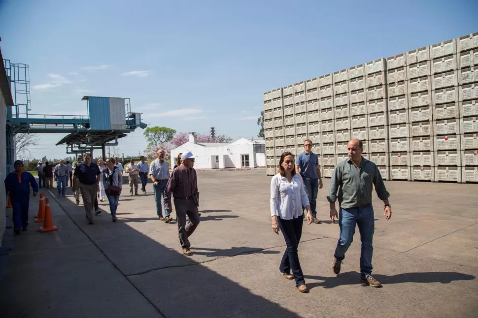 RECORRIDA. Los visitantes extranjeros, junto a funcionarios locales y nacionales y los productores citrícolas recorrieron las instalaciones de las empresas. 