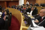 Pucharras, sobre la ley de emergencia: es imposible llegar a buen puerto sin los recursos necesarios