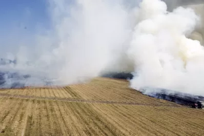 En aumento: Defensa Civil recibió más de 100 denuncias por quema de caña en lo que va de septiembre