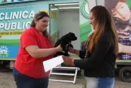 Visitando la Expo podés adoptar un cachorro