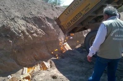 Los movimientos de fruta deben ser controlados