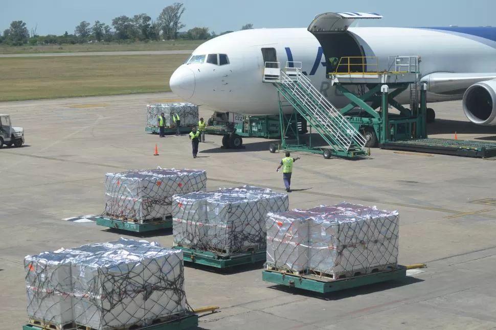 OBRAS. Los trabajos en el aeropuerto tucumano van un ritmo intenso para exportar los berries.  