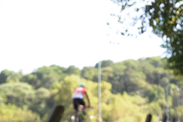 Defienden la restricción a la utilización de bolsas plásticas