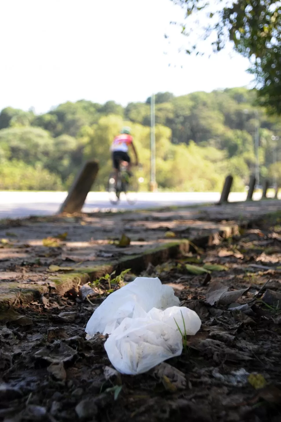 POR TODOS LADOS. Se busca eliminar las bolsas, que no se degradan y dañan severamente la naturaleza. la gaceta / foto de Analía Jaramillo