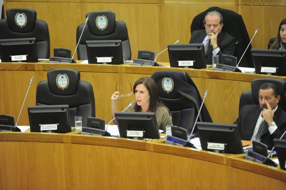 INICIATIVA. Rojkés (PJ) propuso elevar el cupo femenino con algunos pares. la gaceta / foto de franco vera (archivo)