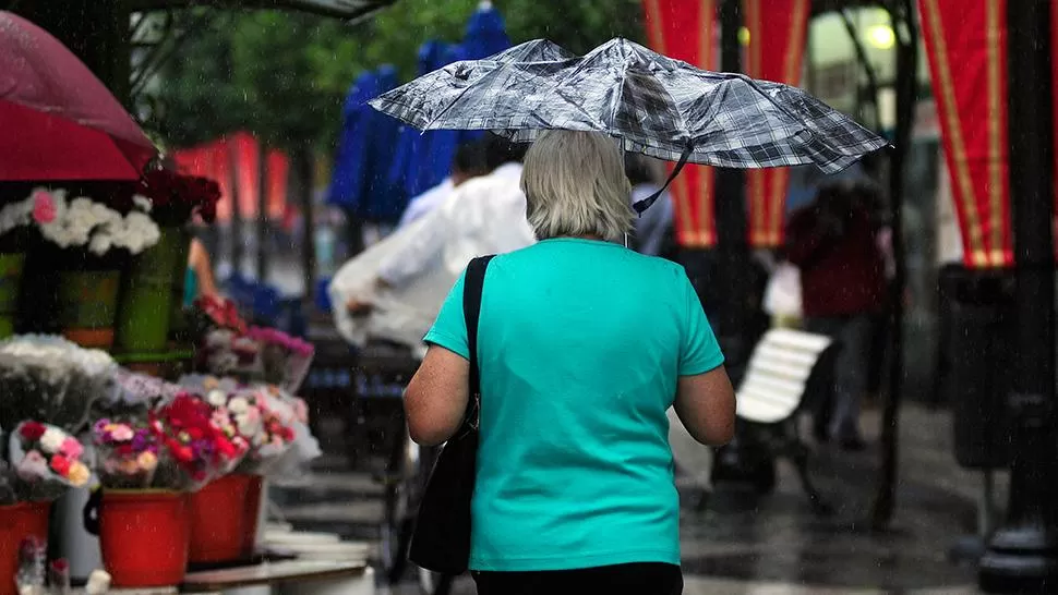 LA GACETA/FOTO DE ANALÍA JARAMILLO