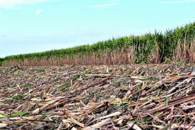 Premiaron un trabajo de la Eeaoc en México