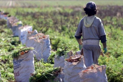 Encuentro regional sobre Trabajo Infantil en la Cadena de Valor