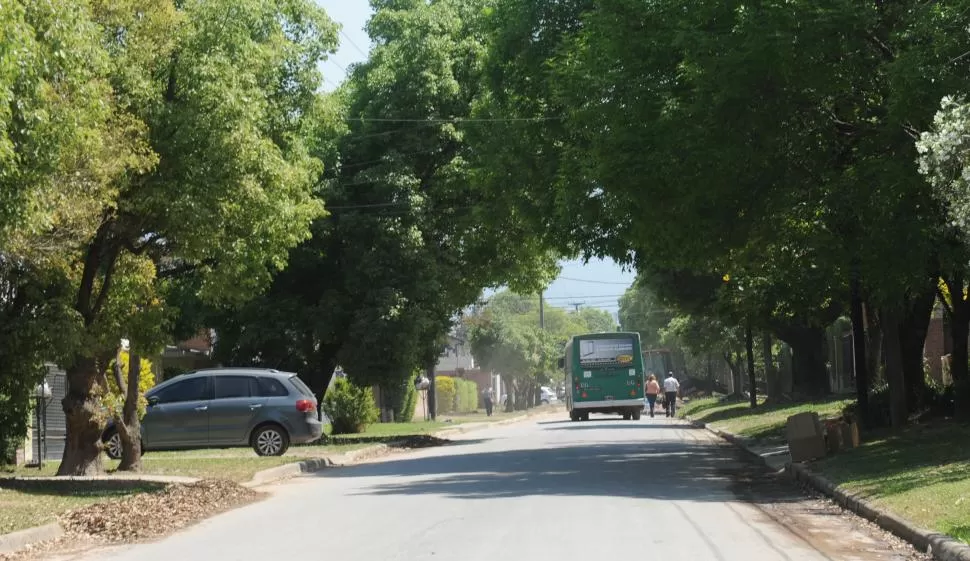  la gaceta / fotos de josé nuno