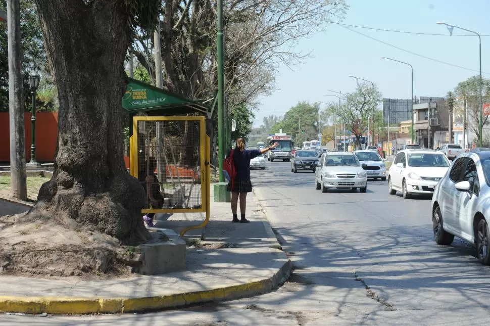 RUINOSAS. Según la Municipalidad, por contrato debían construirse nuevos refugios, pero nunca se hicieron, como muestran ambas fotos. 