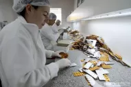 Ciencia y tecnología: el futuro del trabajo