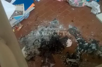 Por cuarta vez en el año robaron en una escuela especial de Concepción