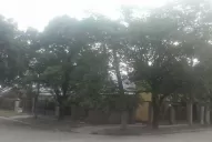 Luego del fuerte viento de ayer, llevan 24 horas sin energía eléctrica