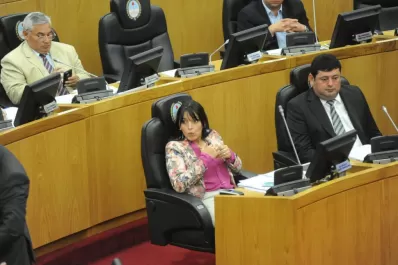 Oficialistas piden una ley de Acceso a la Información