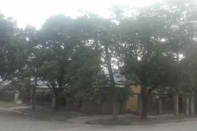 Luego del fuerte viento de ayer, llevan 24 horas sin energía eléctrica