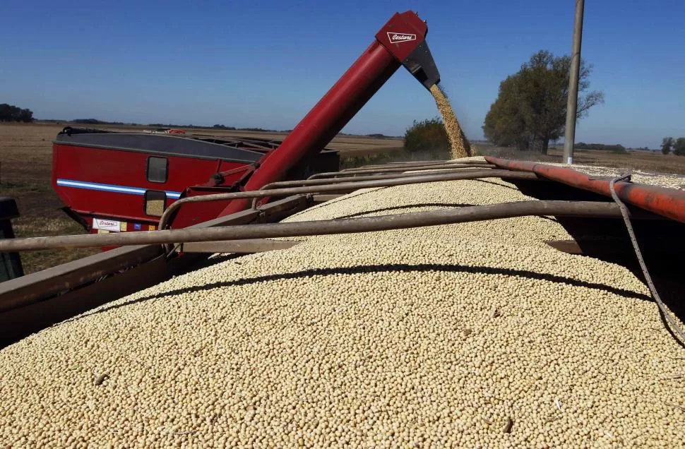 NÚMEROS ROJOS. La carga impositiva es difícil de llevar por el productor.  