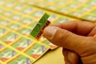 Hallaron LSD en Córdoba, en un ómnibus que provenía de Tucumán