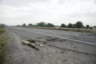 “Pirañas” detienen a automovilistas para robarles