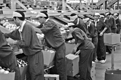 La Eeaoc es el soporte técnico de la citricultura