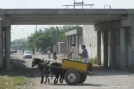 Zona roja: las pirañas no perdonan a nadie en la Circunvalación