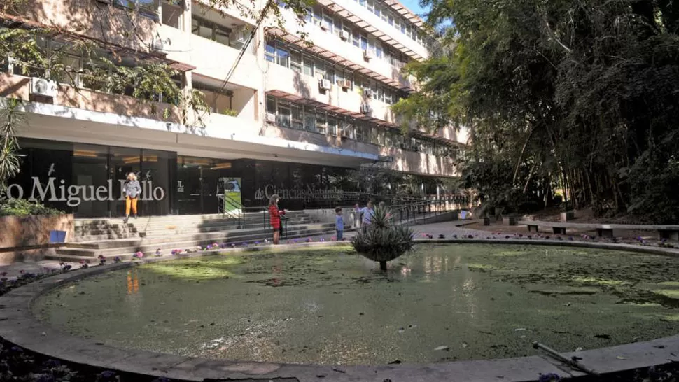 FUNDACIÓN MIGUEL LILLO. La institución se dedica al estudio de la naturaleza. ARCHIVO